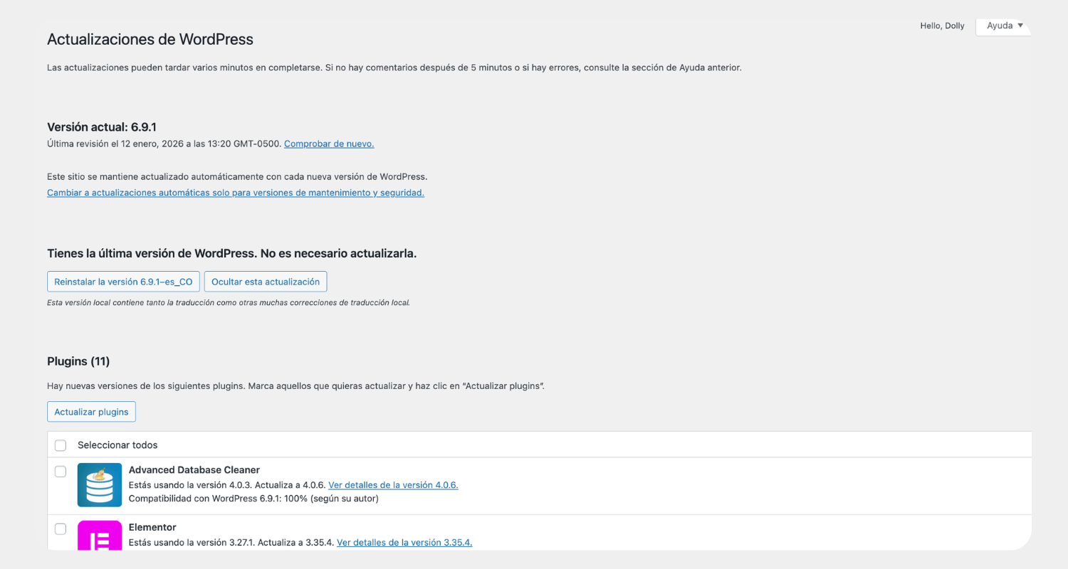 Pantalla de actualizaciones en el administrador de WordPress mostrando el plugin Elementor listo para actualizar