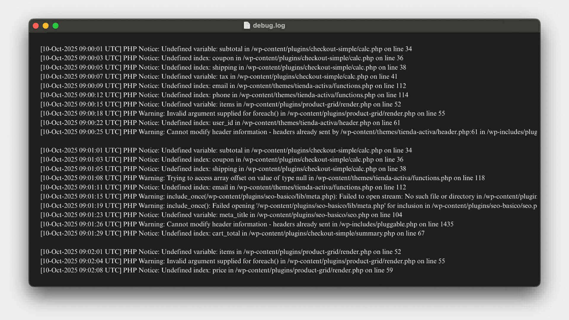 Cómo leer el archivo debug.log de WordPress sin ser técnico